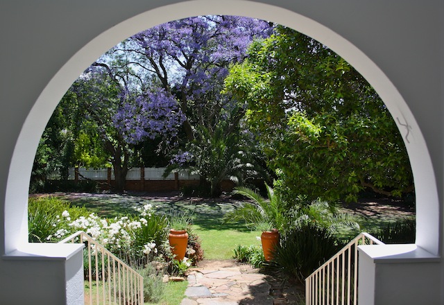 Garden at the Holistic Medical Centre
